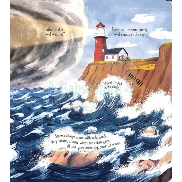 Usborne Look ide Wild Weather