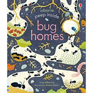 Usborne Peep ide How a plane works Bug homes  Space Night Time The Zoo SEA Tree