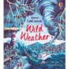 Usborne Look ide Wild Weather