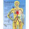 Usborne See ide your body