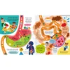 Usborne Step ide Science Your Body
