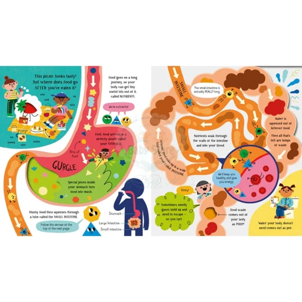 Usborne Step ide Science Your Body