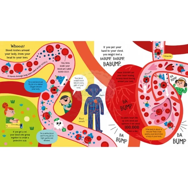 Usborne Step ide Science Your Body